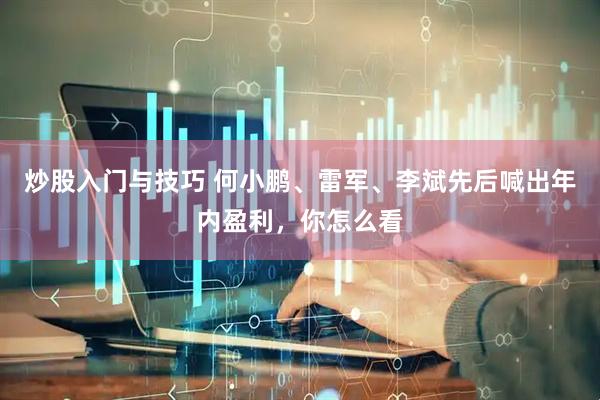 炒股入门与技巧 何小鹏、雷军、李斌先后喊出年内盈利，你怎么看