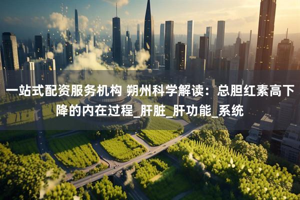 一站式配资服务机构 朔州科学解读：总胆红素高下降的内在过程_肝脏_肝功能_系统