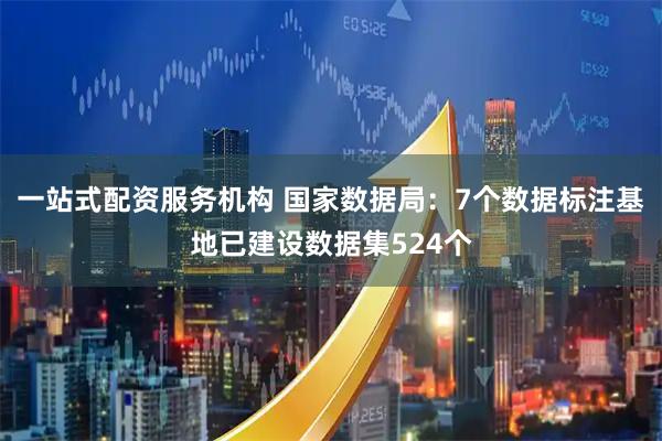 一站式配资服务机构 国家数据局：7个数据标注基地已建设数据集524个