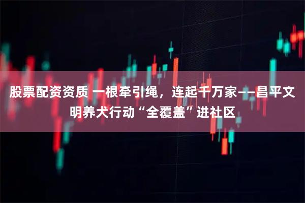 股票配资资质 一根牵引绳，连起千万家——昌平文明养犬行动“全覆盖”进社区