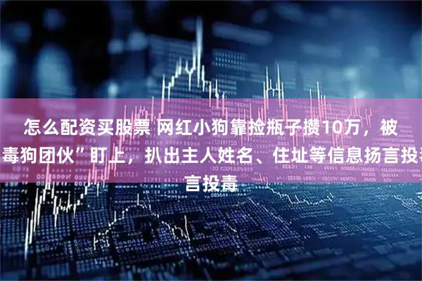 怎么配资买股票 网红小狗靠捡瓶子攒10万，被“毒狗团伙”盯上，扒出主人姓名、住址等信息扬言投毒